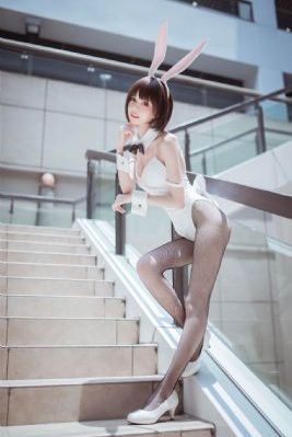 赘婿全集在线观看免费观看完整版_午夜伦不卡高清在线观看